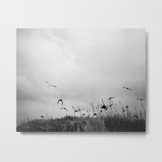 The Beautiful Flight ~ BW version Metal Print