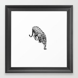 tiger 6 Framed Art Print
