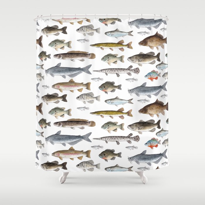 A Few Freshwater Fish Duschvorhang | Drawing, Aquarell, Illustration, Fisch, Catfish, Bass-fish, Perch, Sunfish, Angeln, Cabin