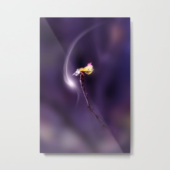 NUOVA Metal Print