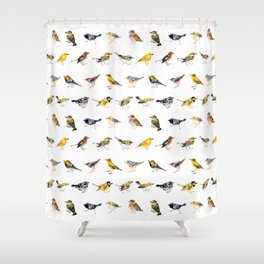 Warbler and Vireo Pattern on White Shower Curtain