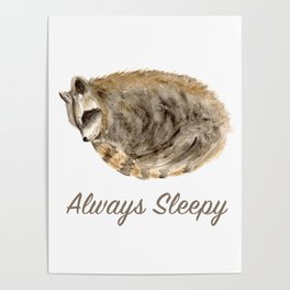 Always Sleepy Raccoon Poster