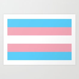 Transgender Flag Art Print