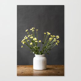 Photo | yellow flowers | modern art | botanical | floral | spring Canvas Print