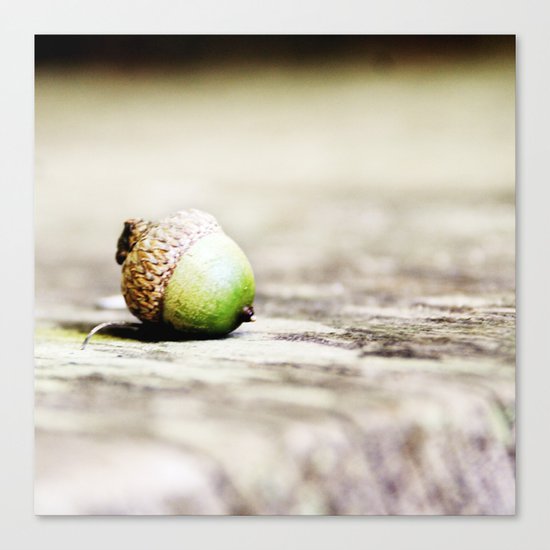 The One that Got Away Canvas Print