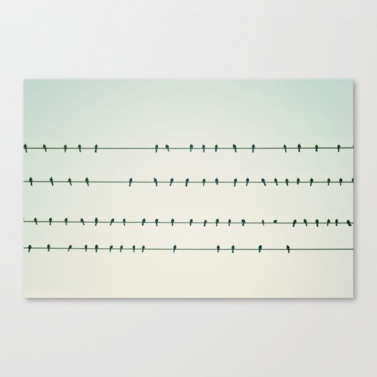 Birds on Four Wires Canvas Print