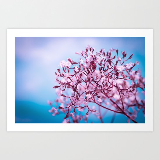 MORNING LIGHT Art Print