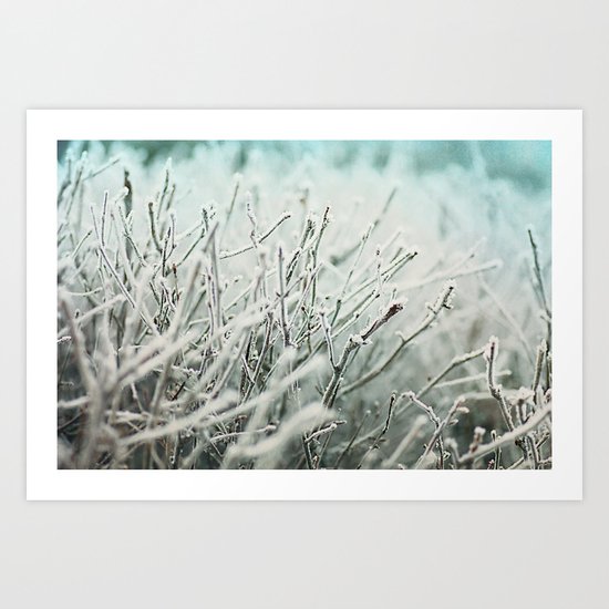Winter frost Art Print