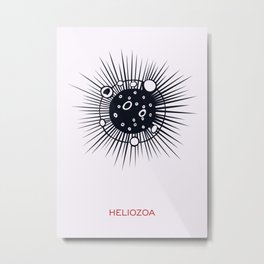 Heliozoa Metal Print | Pseudopodium, Typography, Animalcules, Heliozoa, Eukaryote, Pseudopodia, Fauna, Oceaninhabitants, Abyssal, Microbiologist 