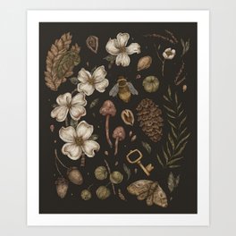 Nature Walks Kunstdrucke | Curated, Bee, Animal, Acorn, Other, Nature, Digital, Fern, Plants, Illustration 