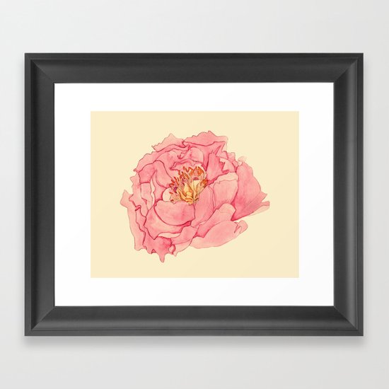 Vintage Peony Framed Art Print