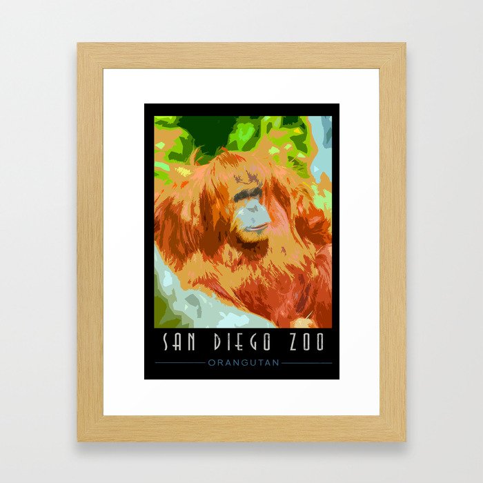 Orangutan Art Poster - San Diego Zoo Framed Art Print