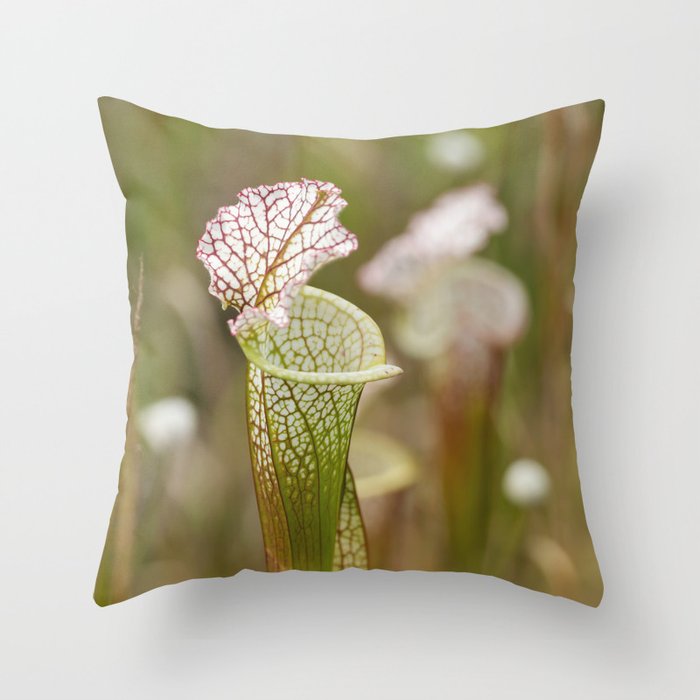 Pitcher Plant Art Throw Pillow