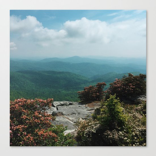 Blue Ridge Mountains Canvas Print