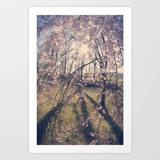 Sun Coming Through Art Print