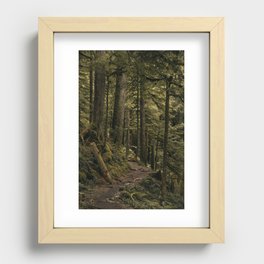 Mossy Woods Recessed Framed Print