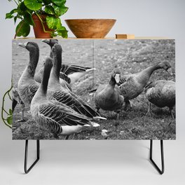 Greylag geese in the park | Black and white Photography Credenza