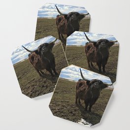 Scottish Highland Cow - Fia Coaster