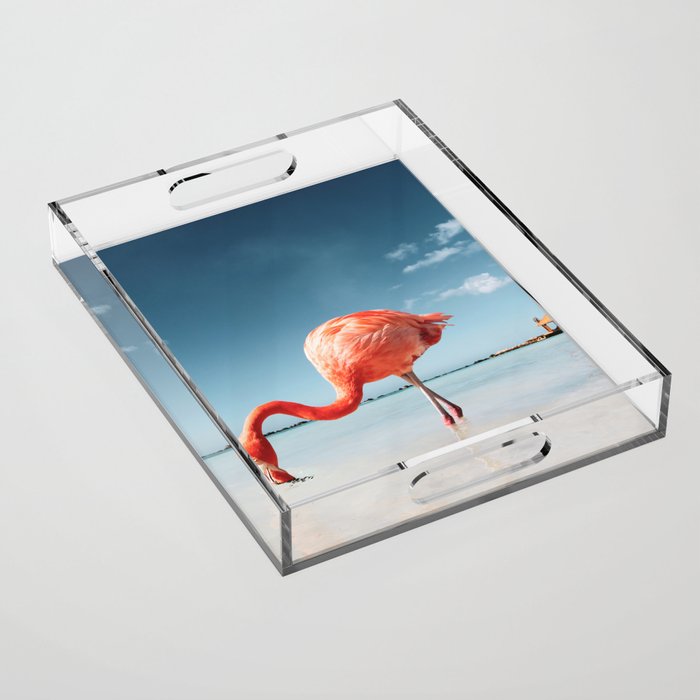 Free as a bird. Flamingo on Aruba  Acrylic Tray