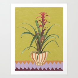 Summer bromeliad Art Print