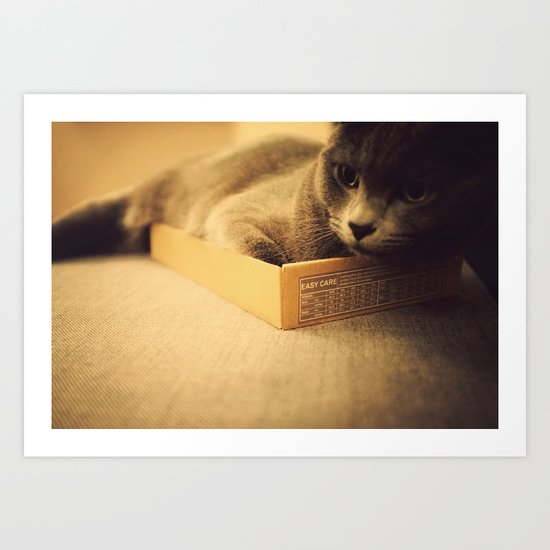 Cat Art Print