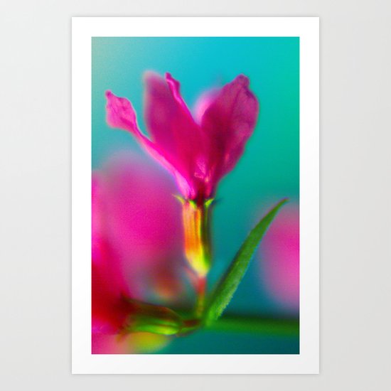magenta buds Art Print