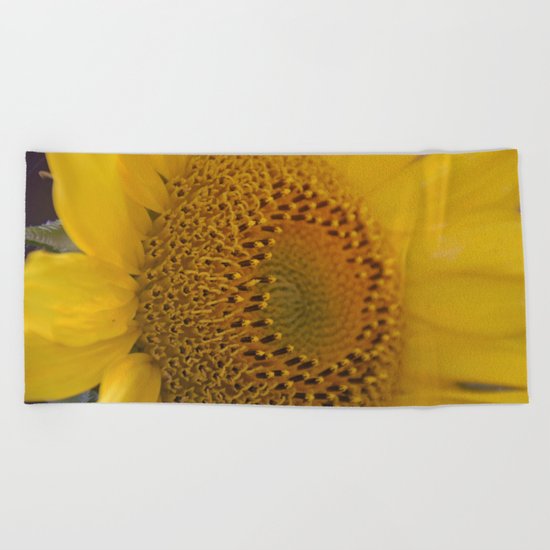 Sunflower close up Beach Towel