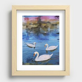 Swans on the lake Recessed Framed Print