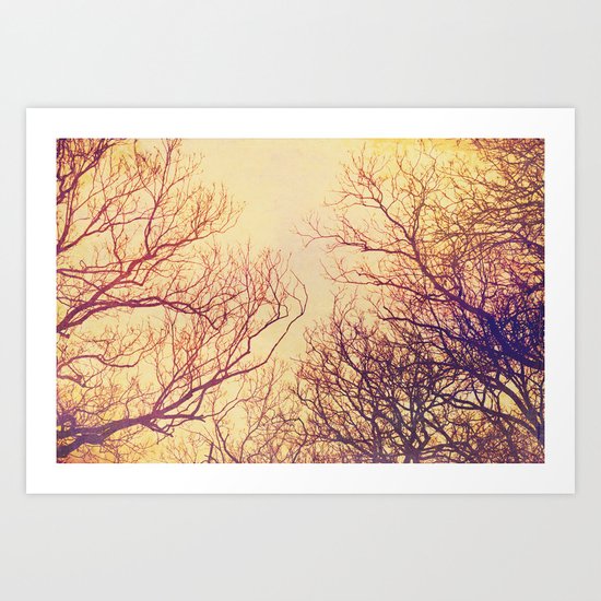 High up in the trees Art Print