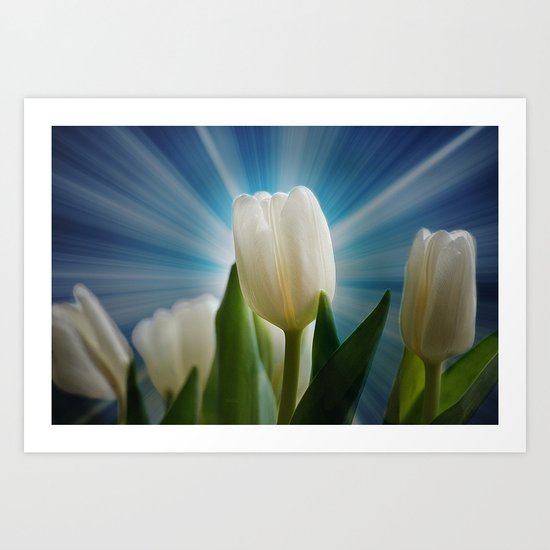 Tulpen Traum Art Print