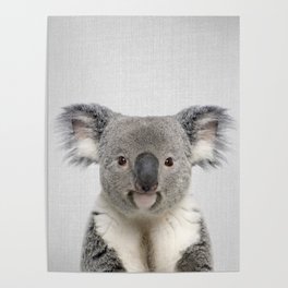 Koala 2 - Colorful Poster