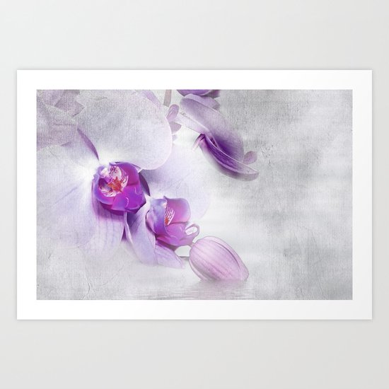 Colurful Orchid 2 Art Print