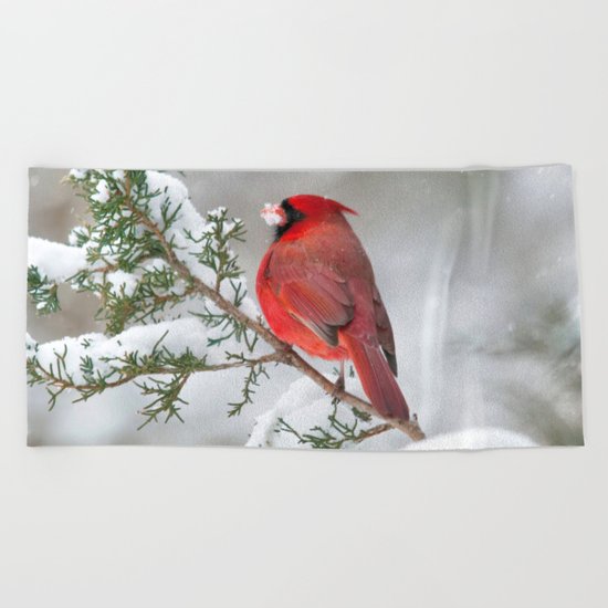 Snow on His Face (Northern Cardinal) Beach Towel