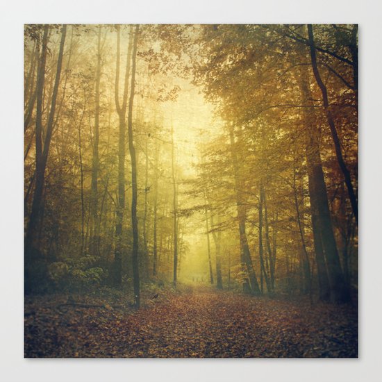 fall morning forest Canvas Print