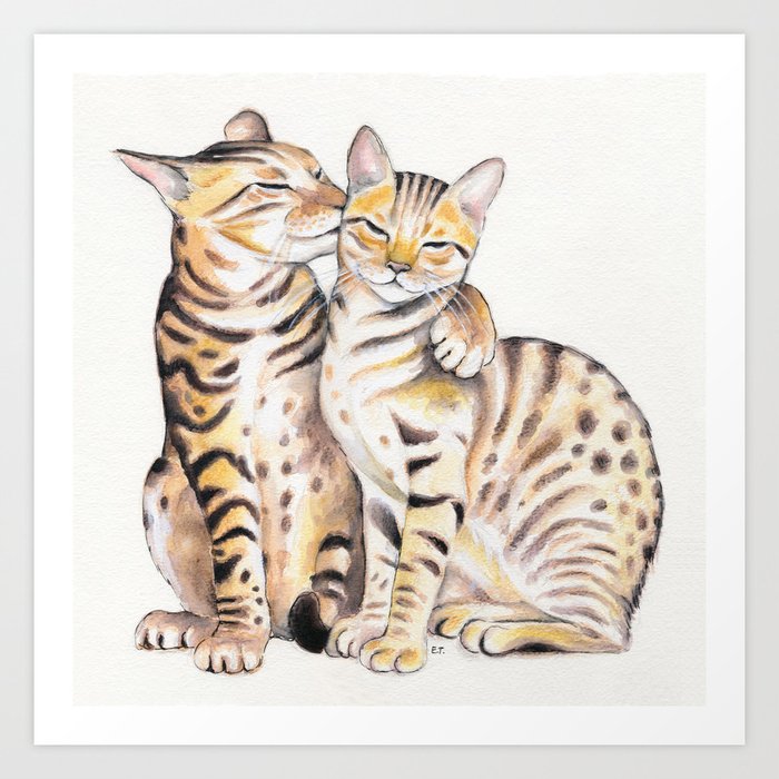 Рисунок бенгальского кота