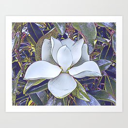 Southern Magnolia Flower Art Print
