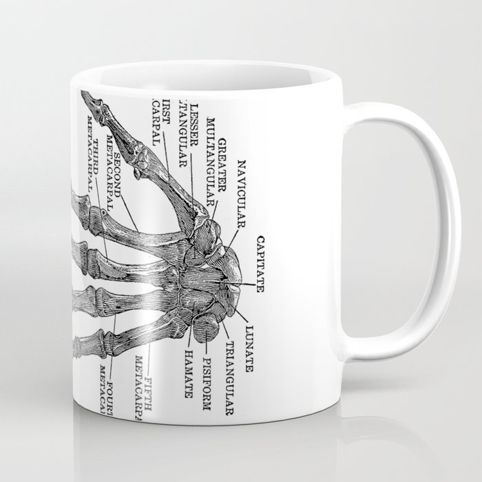 Bones of the Human Hand // Anatomy Skeleton Coffee Mug