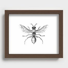 B&W Wasp Recessed Framed Print