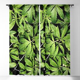 Cannabis Netted Blackout Curtain