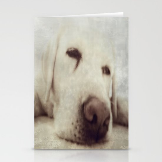 Pooch Stationery Cards