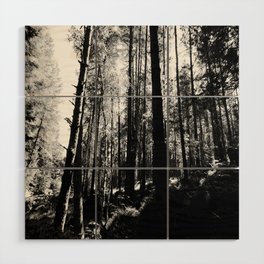 Summer Light Along a Scottish Highlands Walk in Black and White  Wood Wall Art