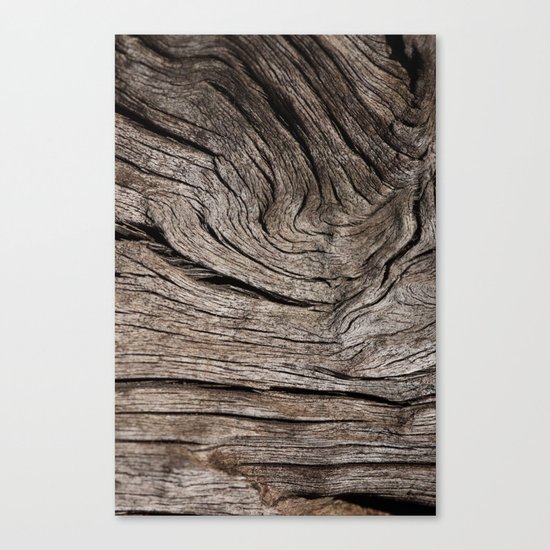 Wood VII Canvas Print