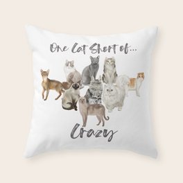 Summer House Throw Pillows For Any Room Or Decor Style Society6