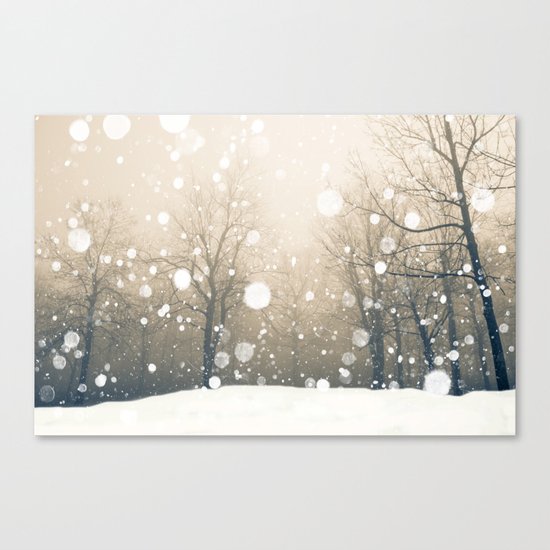 Winter Canvas Print