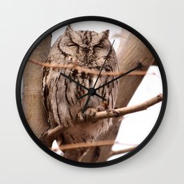 Wild Owl - Ivins, Utah Wall Clock