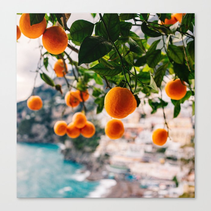 Amalfi Coast Oranges Canvas Print
