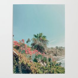Bougainvillea & cactus  Poster