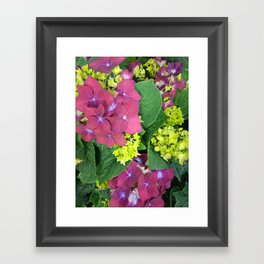 Red and Green Hydrangea Flowers Framed Art Print