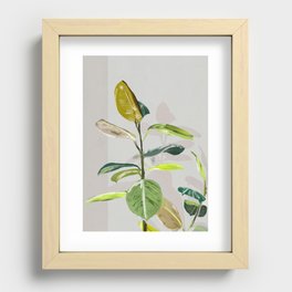 House Plant  Recessed Framed Print