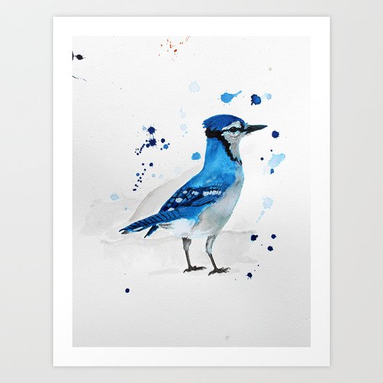 Blue Jay Art Print